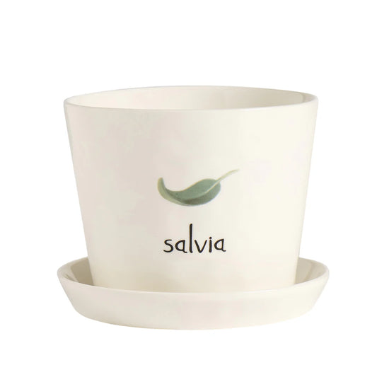 Simple Day vaso Salvia