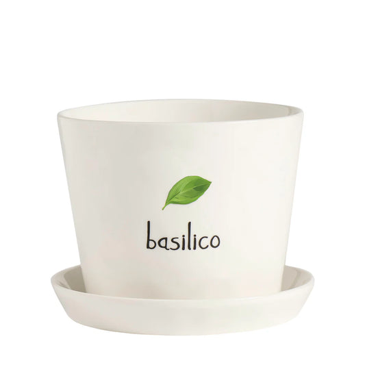 Simple Day vaso Basilico