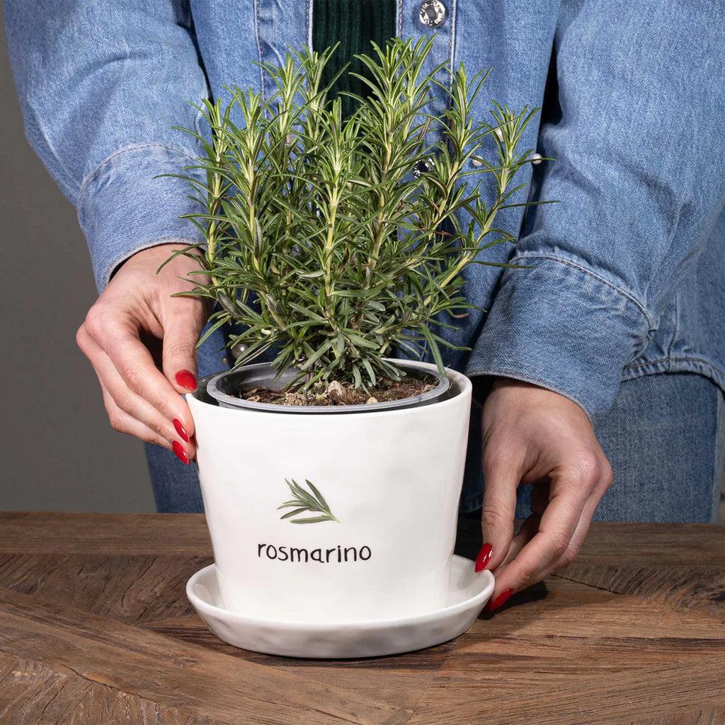 Simple Day vaso Rosmarino 10010935ROSMARINO Simple Day