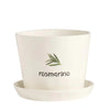 Simple Day vaso Rosmarino 10010935ROSMARINO Simple Day